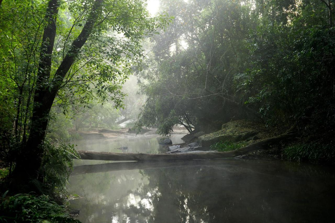 Amanvana Spa Resort, Coorg Kushālnagar Esterno foto
