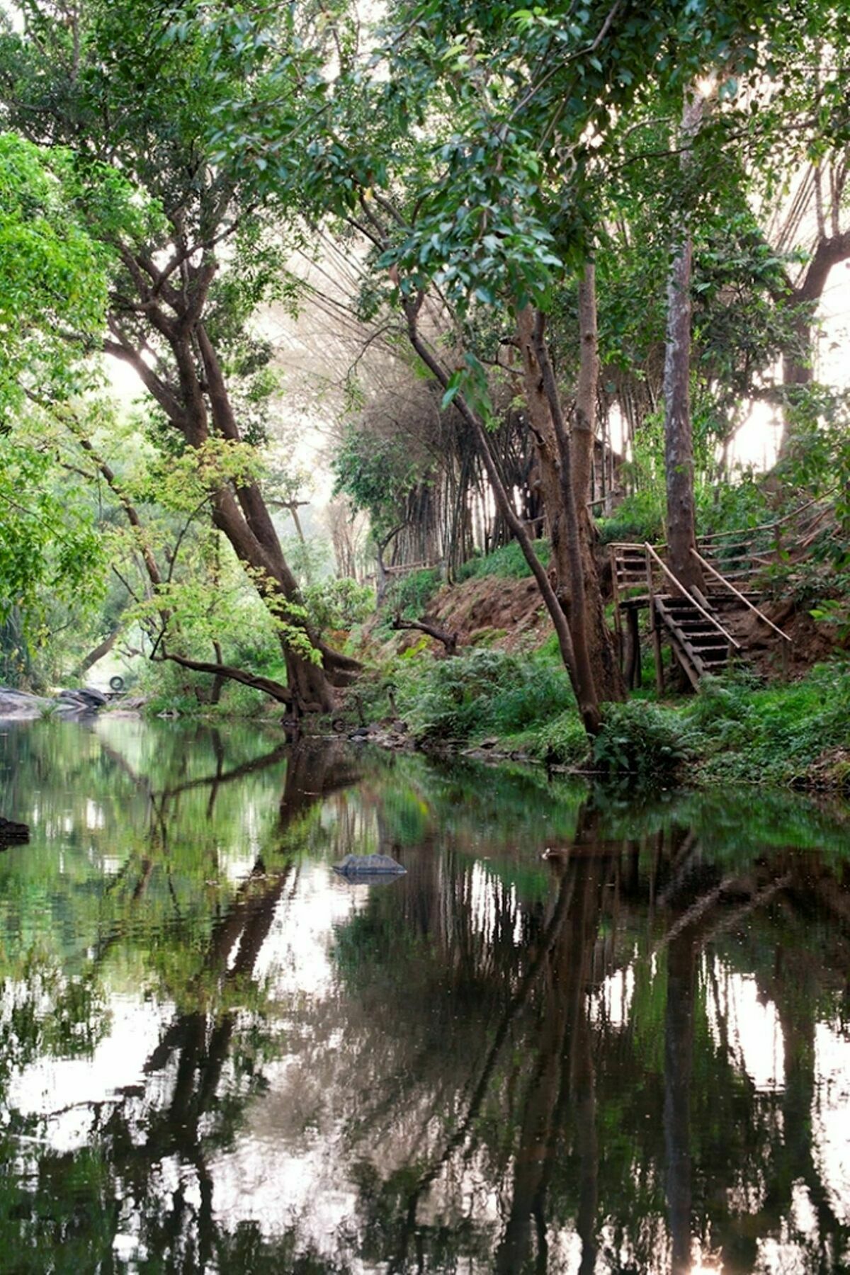Amanvana Spa Resort, Coorg Kushālnagar Esterno foto